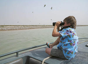 Learning birdwatching in Bubiyan (photo by Gillian Pope)