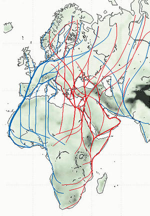 The Eastern Flyway is shown in red in this generalization of bird movements.