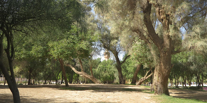 Fahaheel Park