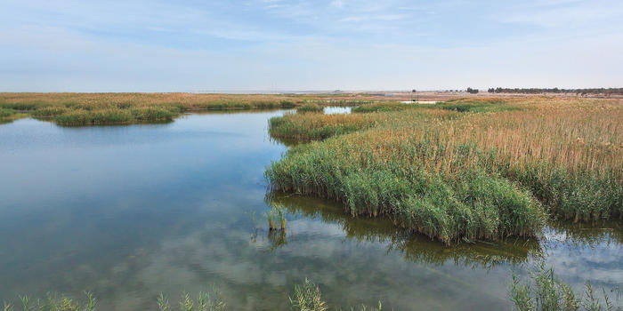 Jahra Pools Reserve (photo Aris Vidalis)