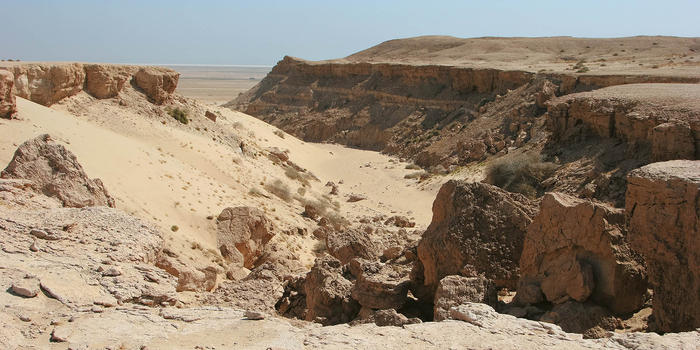 Scarp wadi in Sabah Al-Ahmad Natural Reserve (photo Mike Pope)