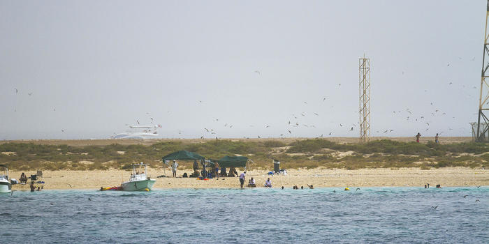 Kubbar Island in early June