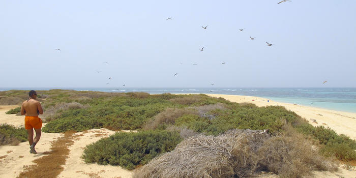 Umm al Maradim Island in late May