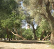 Fahaheel Park